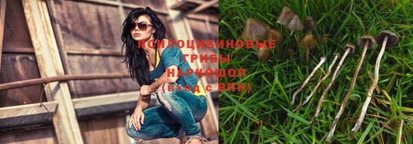 бутират Алексин