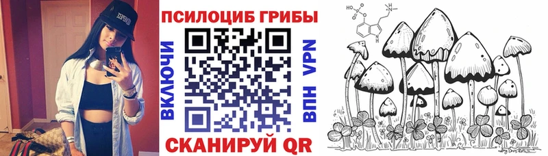 Галлюциногенные грибы мицелий  MEGA tor  Брюховецкая  купить закладку 