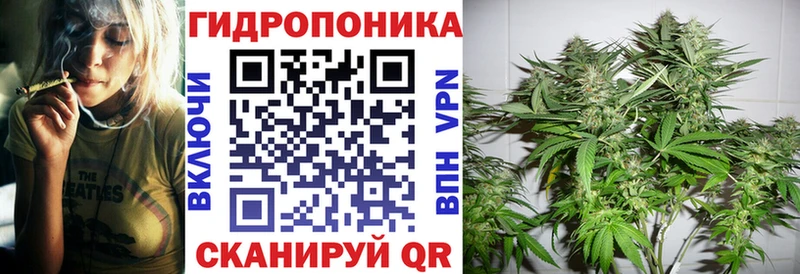 Шишки марихуана семена Брюховецкая