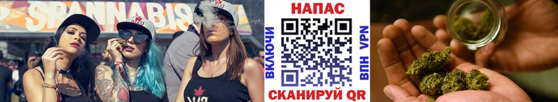 Бошки Шишки марихуана  Брюховецкая 